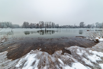 Danube island (Šodroš) near Novi Sad, Serbia. Colorful landscape with snowy trees, beautiful frozen river.