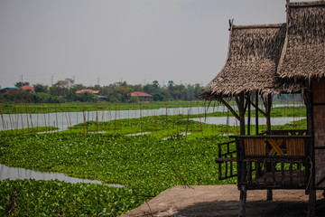 Riverside thailand