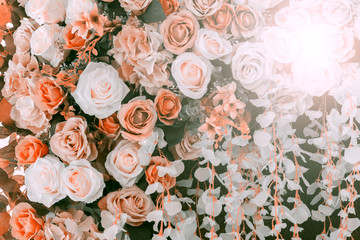 Beautiful colorful flowers background