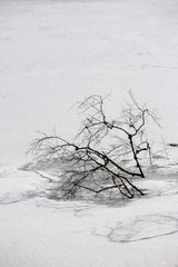 Winter landscape at the small Arbersee in Bavaria