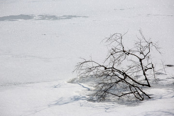 Winter landscape at the small Arbersee in Bavaria