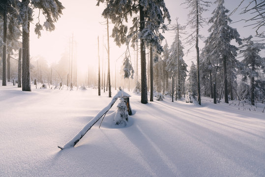 Sonnenaufgang und Nebel im Winterwald des Fichtelgebirges