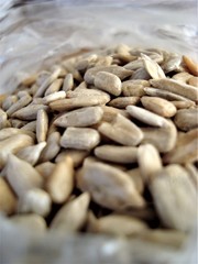 Seeds