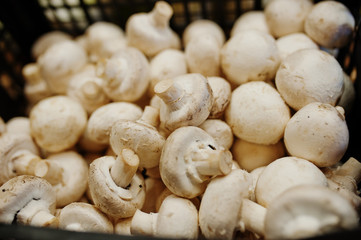 Champignon mushrooms on the shelf of a supermarket or grocery store.