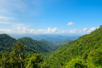 Fototapeta premium Tropical forest mountain in Samoeng district in Chiang Mai, Thailand