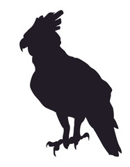 bird in flight, silhouette, vector
