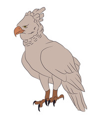 bird in flight, color vector,