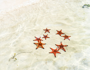 Fototapeta na wymiar Starfishes on the Phu quoc island , beautiful red starfish in crystal clear sea, travel concept on tropical starfish beach