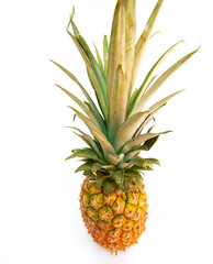 ananas Isolated on white background