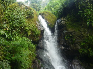 wodospad i bujna zieleń w dżungli