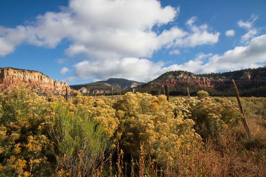 Hills in New Mexico