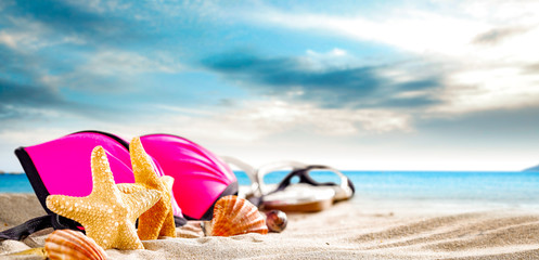 Fototapeta na wymiar Seashells on the sand by the sea on a hot sunny day 