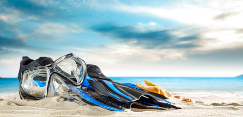 Fins by the sea shore on a hot squeak on a holiday day  