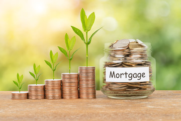 Coin stack, and money jar with plant on blur green tree background mortgage saving concept