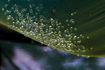 Water drops on a awning