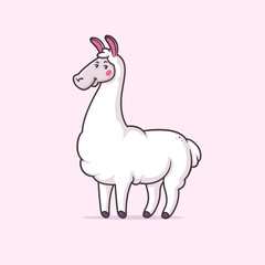 Cute white llama vector cartoon illustration