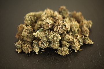 cannabis business concept. Medical Marijuana  hemp and Money