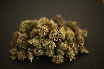 cannabis business concept. Medical Marijuana  hemp 