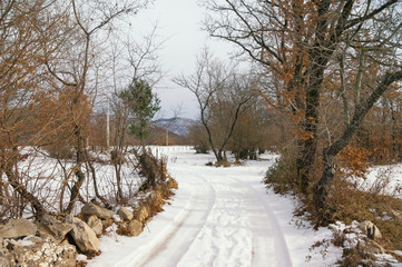 Fototapeta na wymiar Winter country road. Snowy countryside landscape on a cloudy day. Bosnia and Herzegovina, Republika Srpska, Tuli region