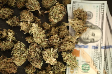 cannabis business concept. Medical Marijuana  hemp and Money