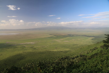 wielka równina afrykańska serengeti w bujnej zieleni po porze deszczowej - obrazy, fototapety, plakaty