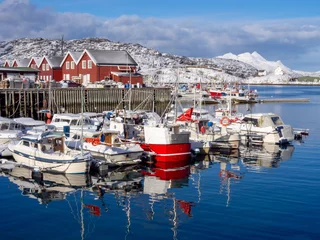 Tuinposter Fishing boats during the winter in Bodo harbor, Norway © salparadis
