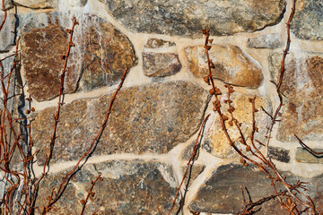 Old stone wall surface with browned vines