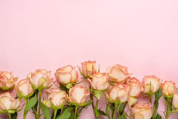 Valentine's Day. Frame made of rose flowers on a pink background. Valentine's day background. Flat lay, top view, copy space