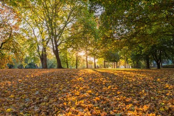 Letzte Sonnenstrahlen im Herbst in Regensburg, Deutschland