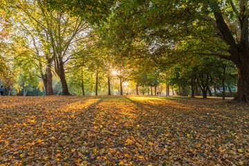 Letzte Sonnenstrahlen im Herbst in Regensburg, Deutschland