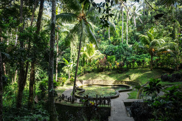 Pond and jungle in Goa Gajah elephant cave temple, Ubud, Bali, Indonesia © daboost
