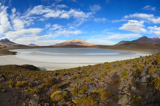 Typical landscape on the Laguna Hedionda, lagoon route, Nor Lipez province, Potosi department, Bolivia, South America