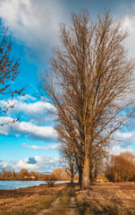 Beautiful winter view near Osterhofen-Danube-Bavaria-Germany