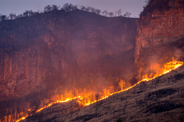 Forest fire on mountains at night.