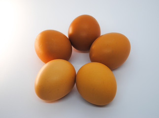 Five brown eggs on white background