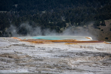 mammoth hot springs