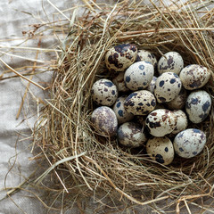 Obraz premium holiday of light Easter