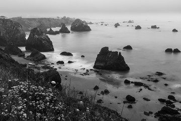 Le littoral accidenté de la Californie du Nord à Bodega Bay, tourné en noir et blanc et avec une longue exposition pour lisser les eaux