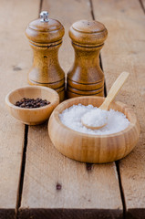 Seasoning saltcellar pepper shaker and a bowl of sea.