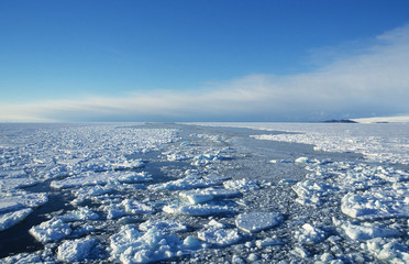 Antarctica; ppermanent ice in the ocean