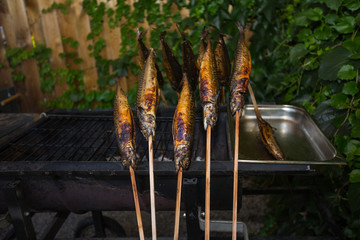 Fisch Grill Fest Sommer gemütlich lecker Essen