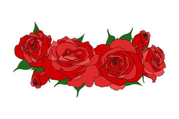 Vector composition of roses. Red flowers isolated on white. T-shirt print design