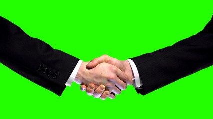 Business handshake on green screen background, partnership trust, respect sign - Powered by Adobe