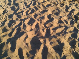 leopard fur background