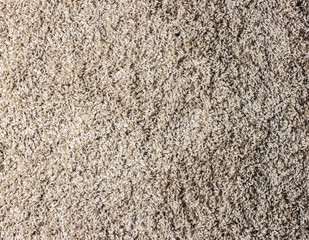 Texture of beige carpet. Surface with nap. Top view