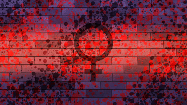 Grange feminist flag brick background