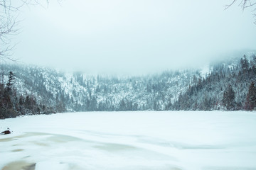frozen lake covered with snow, forest in the background and a dense white cloud above