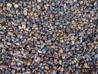 Honey process coffee beans