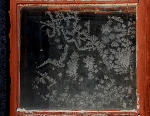 Frosty flowers in a window