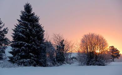  Snow is falling in the sunrise with beautiful colours